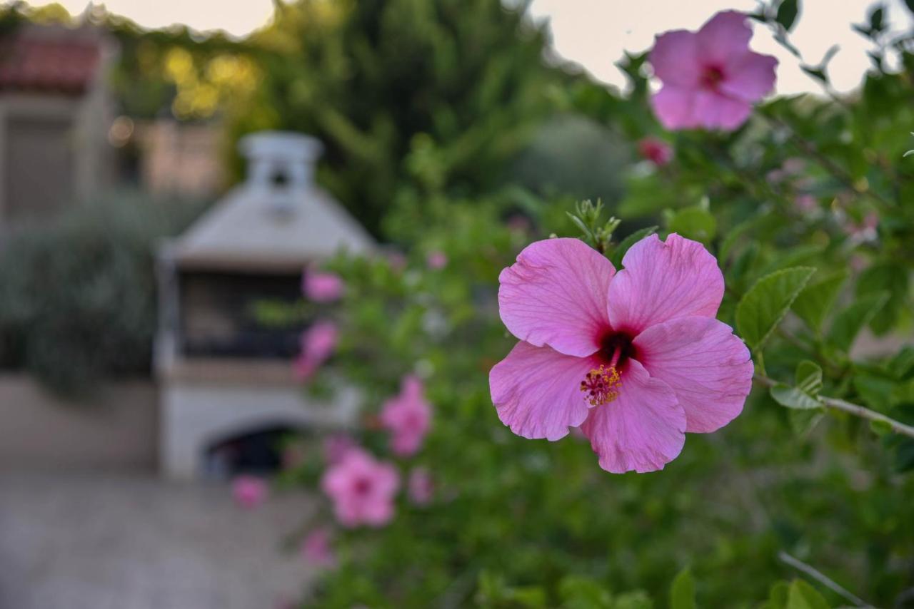 Villabayviewcrete Herszonisszosz Kültér fotó